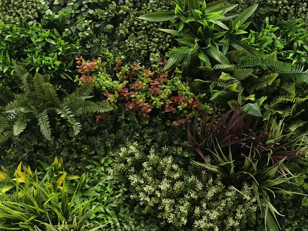 ZELENÁ STĚNA barevný mix džungle, dílec 100 x 100 cm