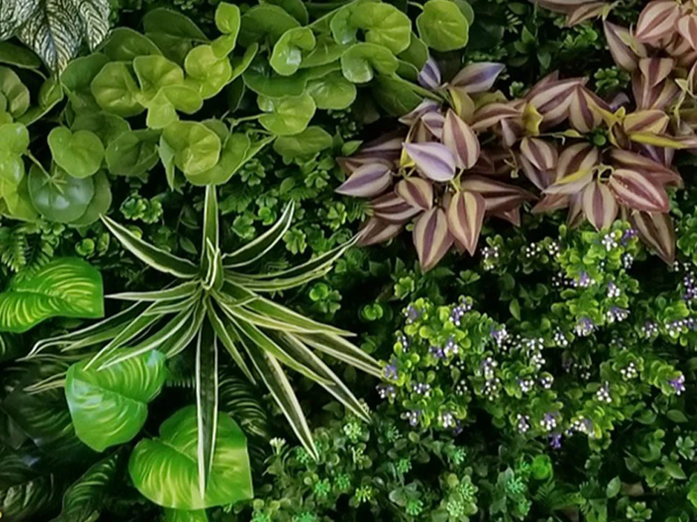 VARIABILNÍ ZELENÁ STĚNA pilea, dílec 100 x 100 cm
