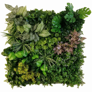 VARIABILNÍ ZELENÁ STĚNA pilea, dílec 100 x 100 cm